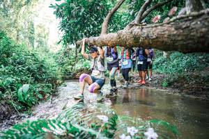 BIB: 
                            <button type="button" onclick="openModal(25478398)" class="btn btn-primary btn-sm float-right btn-popup" data-toggle="modal" data-target=".modal-high-quality">
                        <i class="fas fa-shopping-cart"></i> Add to Cart
                    </button>
                                            <button type="button" onclick="isThisMe(25478398, true)" class="btn btn-success btn-sm float-right btn-popup btn-isme hidden" data-toggle="tooltip" data-placement="bottom" title="นี่คือรูปของคุณใช่ไหม คลิกที่นี่เพื่อเอาเข้าอัลบั้ม">
                        <i class="fas fa-plus"></i> Add to album
                    </button>
                    <button type="button" onclick="isThisMe(25478398, false)" class="btn btn-warning btn-sm float-right btn-popup btn-isnotme hidden">
                        <i class="fas fa-ban"></i> Remove from album
                    </button>